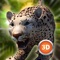 Animal Simulator 3D - Leopard etc