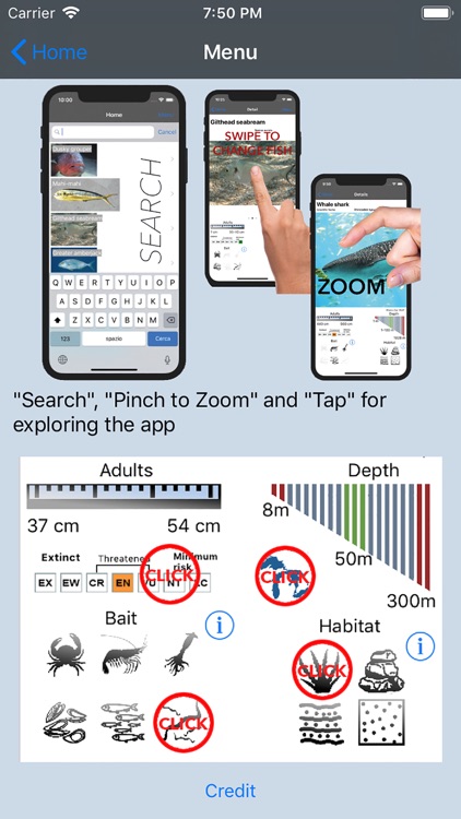 Fish Bait Lure Lite Quiz 2019 screenshot-6