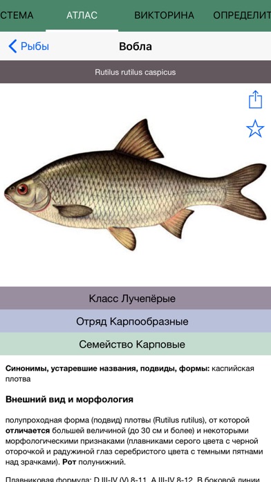 Экогид - Рыбы и Рыбалка screenshot 2