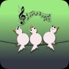 Birds's rhapsody AI - lite