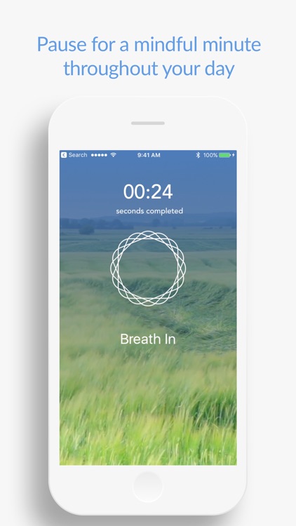 Mindfulness Daily