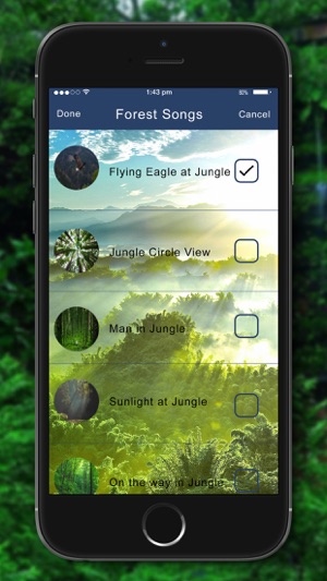 Relaxing Nature - Forest Sounds(圖1)-速報App