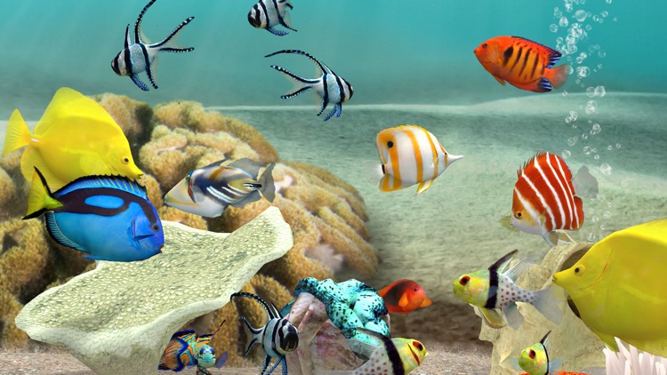 MyReef 3D Aquarium 3 screenshot-3