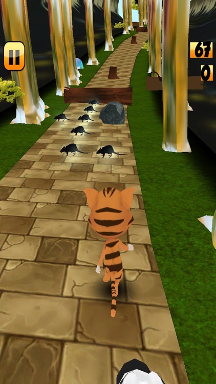 Pet Runner Subway Cat & Dog