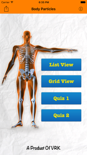 Body Particles