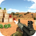 Target Shooting Fruit Advance