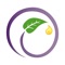 The OilyPedia application contains the essential oils information