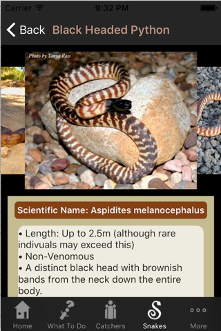 Townsville Snakes and Catchers screenshot 3