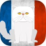CatsAndVerbs - French verbs