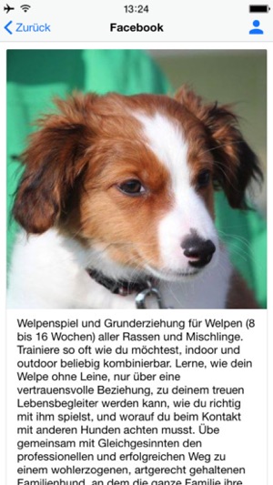 Hundeschule Schweiz(圖5)-速報App