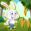 Runner Bunny