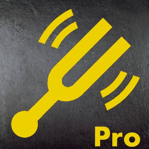 TimperTuner Pro