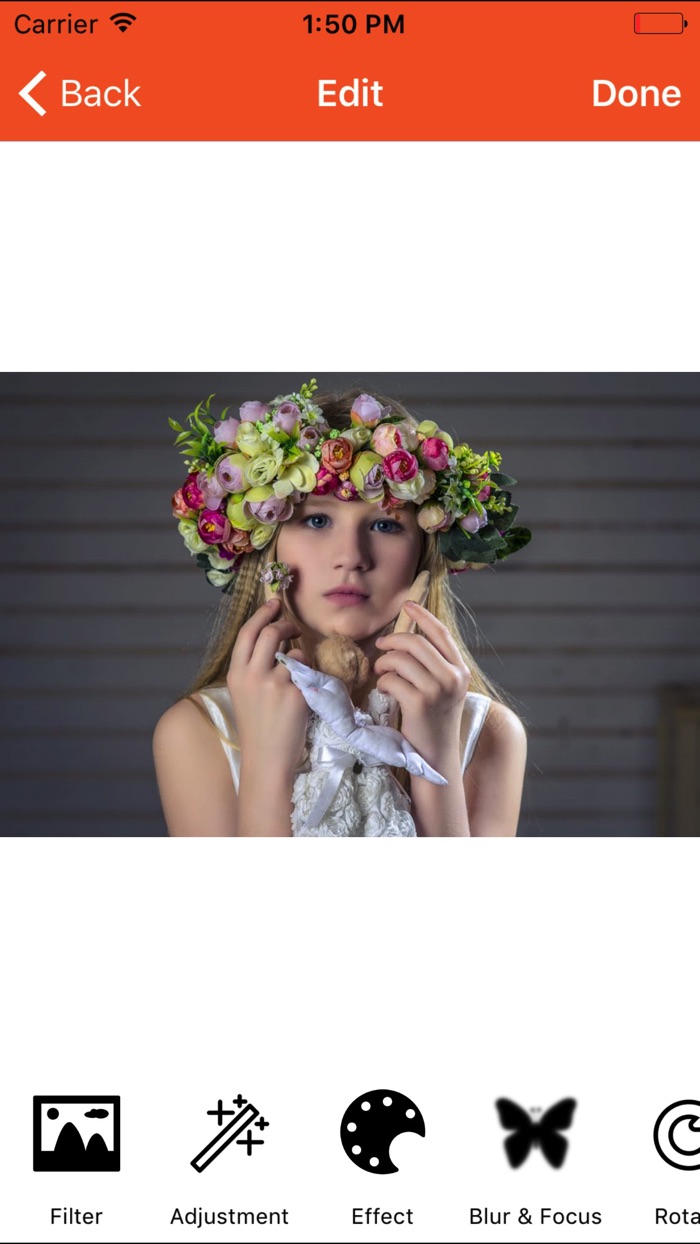 Thanksgiving Greeting Cards