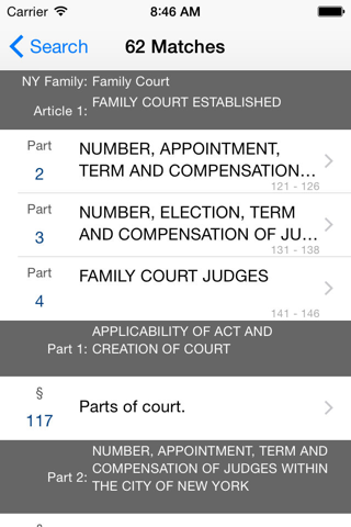 New York Family Court Code screenshot 3