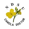 NDSU Canola Doctor