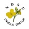 The NDSU Canola Doctor delivers critical information on diseases and pests, including alerts, the Sclerotinia risk map and risk calculator, images and management tools to optimize canola production in North Dakota