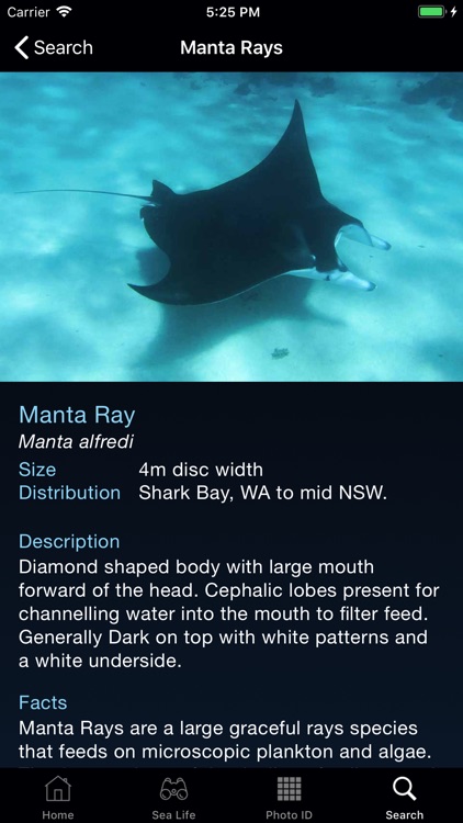 Sea Life Australia screenshot-3