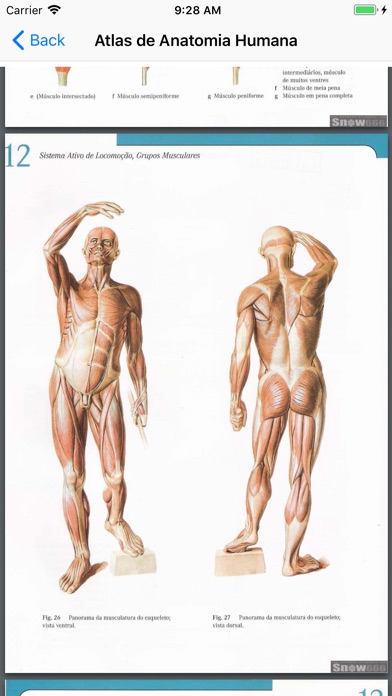 Human Anatomy Atlas screenshot 2