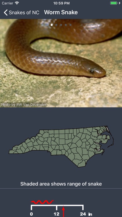 Snakes of North Carolina