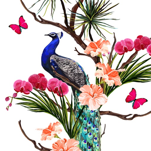 Peacock Stickers