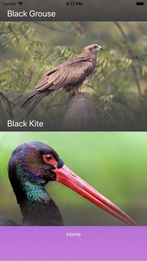 Bird Quiz - Name the Bird!(圖2)-速報App