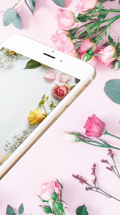 1800Flowers: Flowers & Gifts
