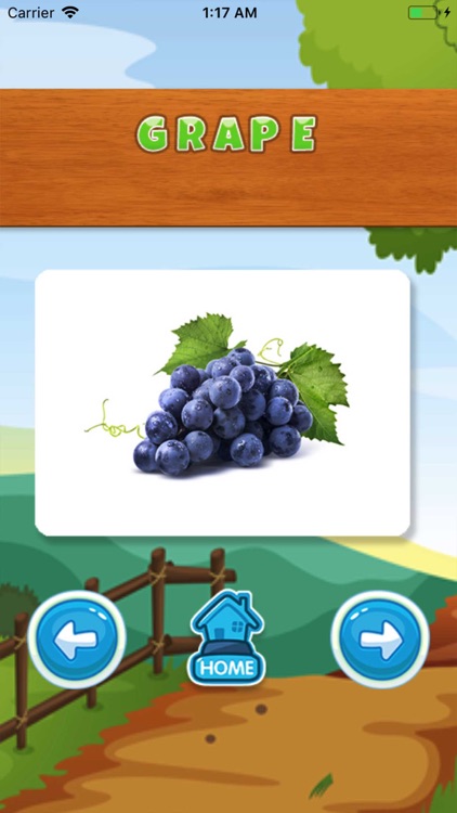 Fruit English Vocabulary Sound screenshot-3