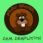 Bucky Dam Demolition