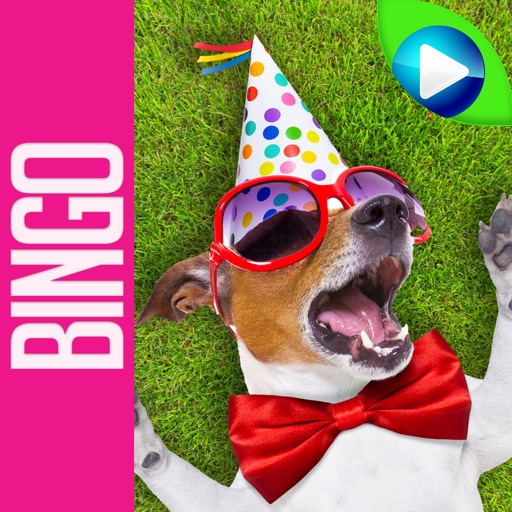 DOG BINGO - Live Dog Bingo & Slots! icon