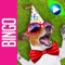 DOG BINGO - Live Dog Bingo & Slots!