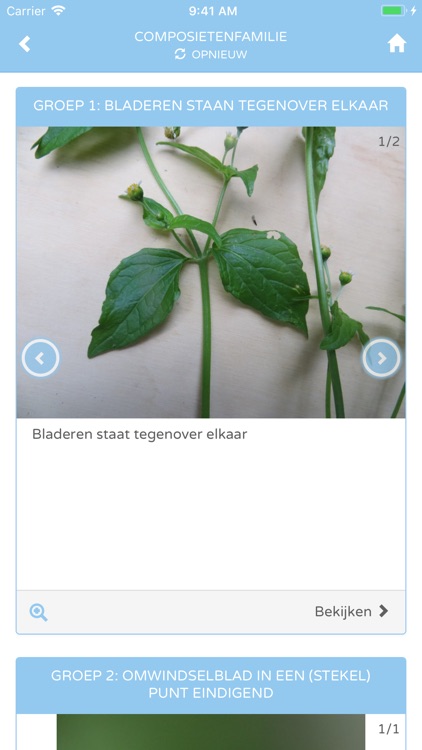 Wilde planten en bomen screenshot-3