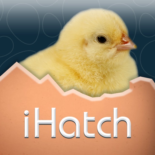 iHatch-Chickens iOS App