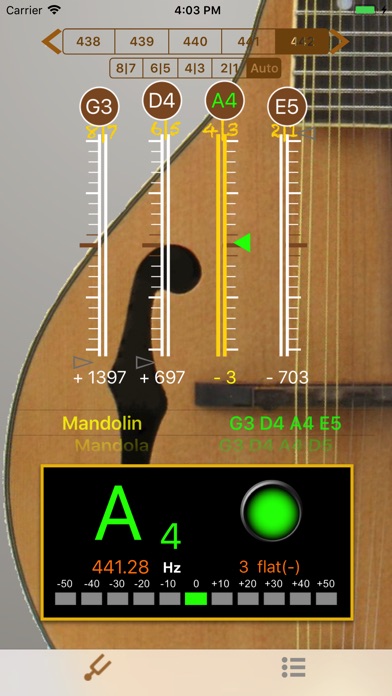 MandolinTuner - Tuner Mandolin screenshot 3