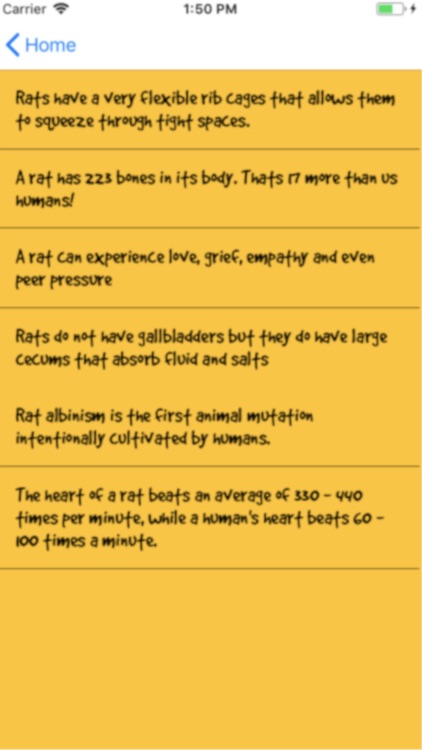 Rat Facts