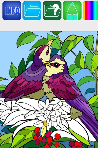 Coloring Expert screenshot 2