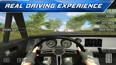 Car Traffic 3D screenshot 2