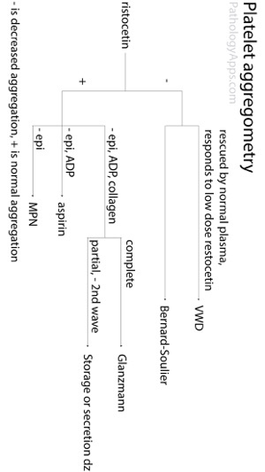 Hematopathology(圖3)-速報App