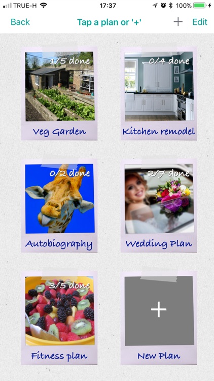 Miwaresoft Life Plans screenshot-4