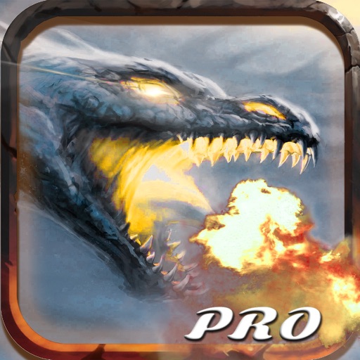 King Of Dragon PRO icon