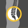 Icon The Truth About Low Back Pain