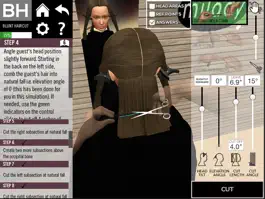 Game screenshot Milady Haircutting Simulation mod apk