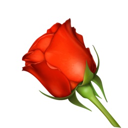 Romantic Roses Lovely Sticker