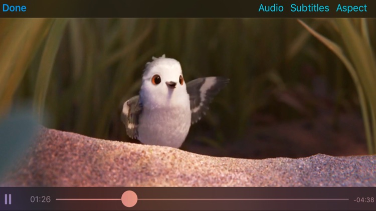 Rigel Video Player