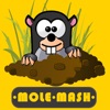 Mole Hunter Official