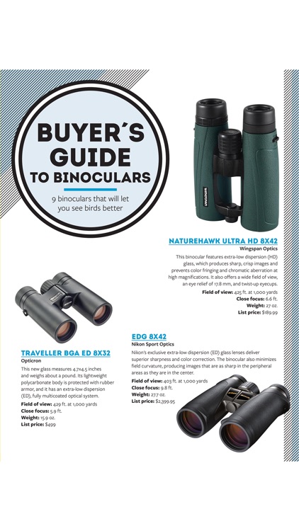 Ultimate Guide to Birdwatching