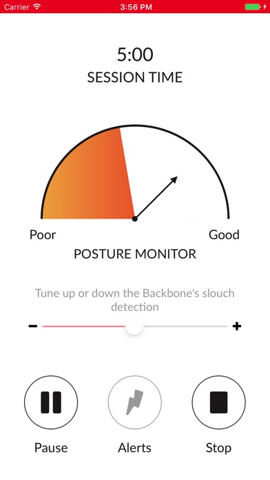 UCSF Backbone Posture Research screenshot 2