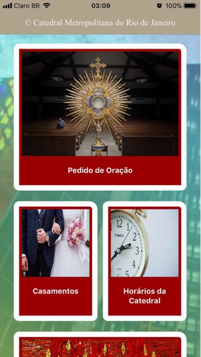 Catedral de São Sebastião - RJ screenshot 2