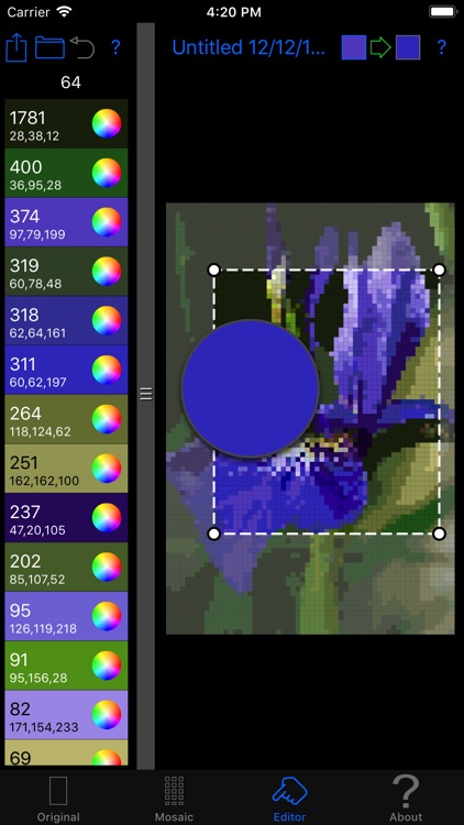 Color Hints Mosaic screenshot-3
