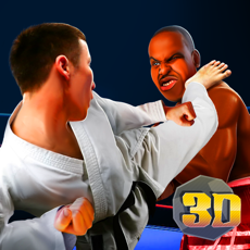 Activities of Boxing vs Kung Fu Fighting Sim
