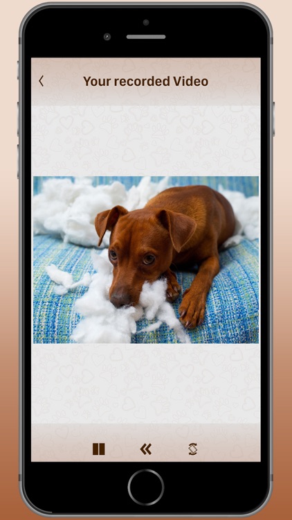 Cam2Pet - Pet | Dog Camera App screenshot-4